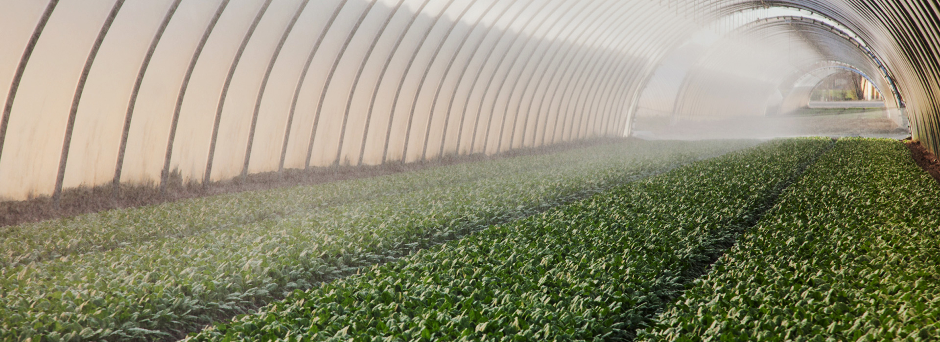 Greenhouse systems